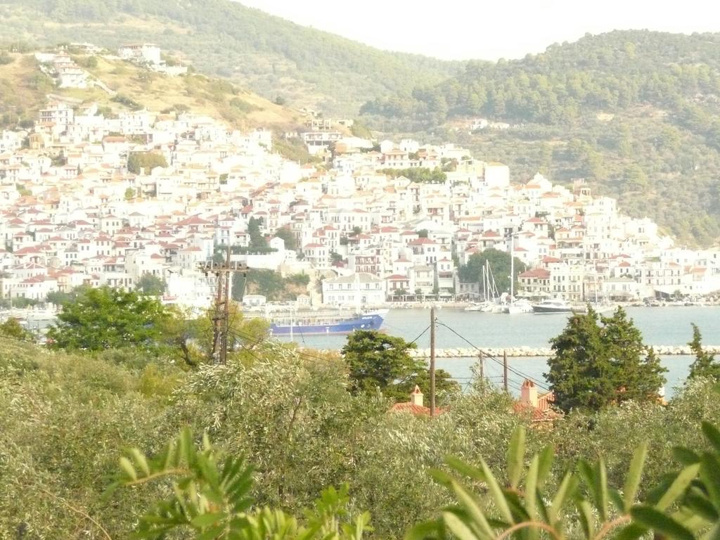 Filoxenia Apartment Skopelos Town Exterior photo